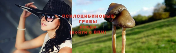 ALPHA PVP Осинники
