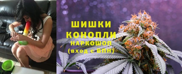 ALPHA PVP Осинники