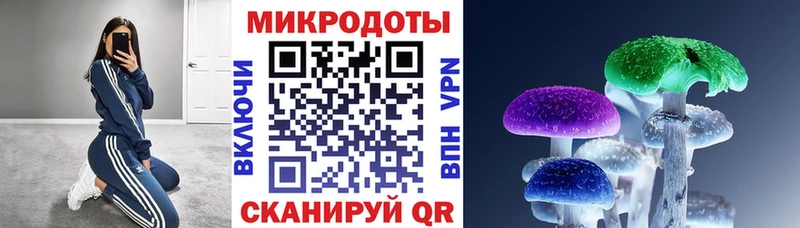 Псилоцибиновые грибы Psilocybine cubensis Абдулино